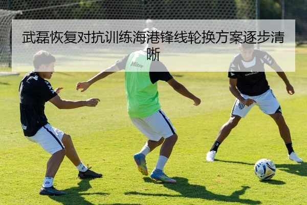 武磊恢复对抗训练海港锋线轮换方案逐步清晰